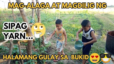 iniyot sa bukid|Translate iyot tayo sa bukid in Tagalog with examples .